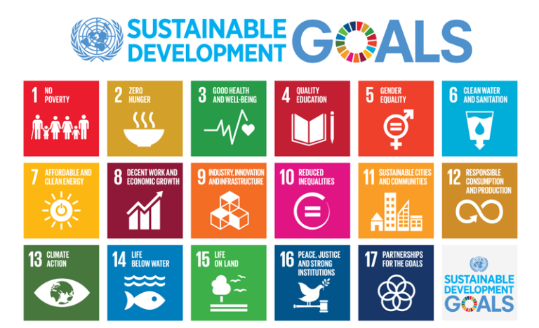 Sustainable Development Goals - SDG | JCI Belgium